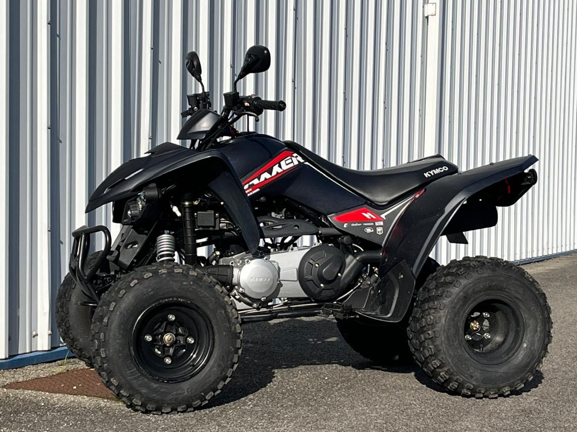 Kymco 300 Maxxer T3B – Image 5